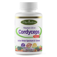Tibetan Cordyceps