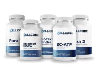 Comprehensive Protocol - Phase 2:  Gut & Immune Support 