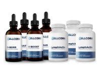 Comprehensive Protocol - Phase 5: Deeper Immune Support 