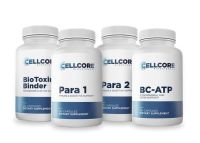 Foundation Protocol - Step 2: Gut & Immune Support 