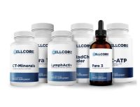 Comprehensive Protocol - Phase 3: Whole Body Immune Support 
