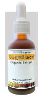 Cognilace™ - 1 fl oz