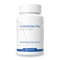 SAMethylate Plus™