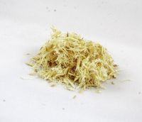 Astragalus Root