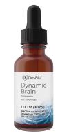 Dynamic Brain