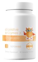 Digestive Enzymes Jr. Chewable - 90 tablets