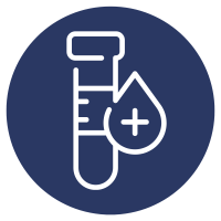 Evexia Basic Anemia Profile